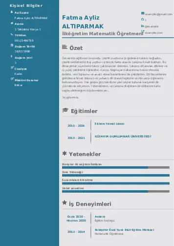 Matematik Öğretmeni Cv Örnekleri cv indir